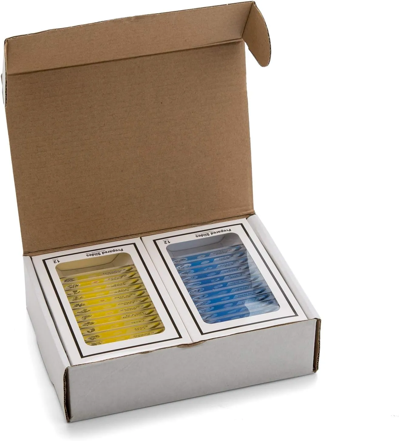 48 PCS Prepared Premade Microscope Slide Set with Specimen for Basic Biological Science Education