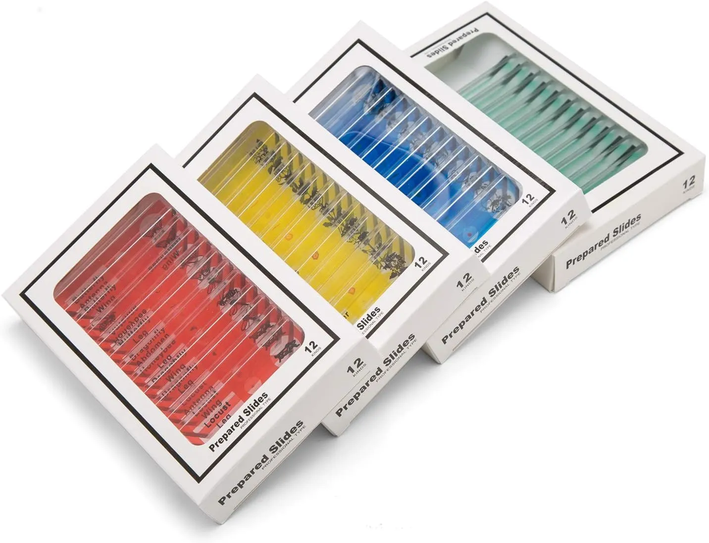 48 PCS Prepared Premade Microscope Slide Set with Specimen for Basic Biological Science Education