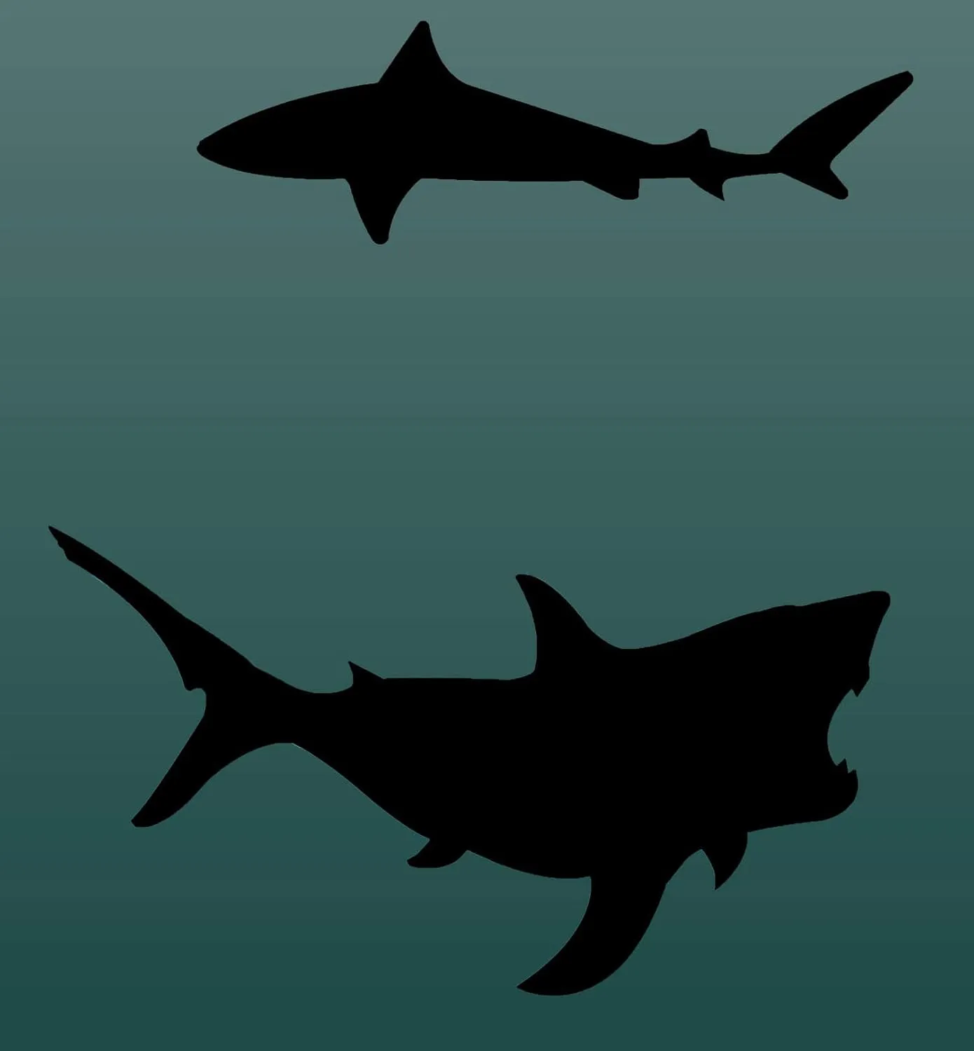 Hocsocx Sharks Socks Performance Liner Moisture-Wicking Protection for Field Hockey, Ice Hockey, and Soccer