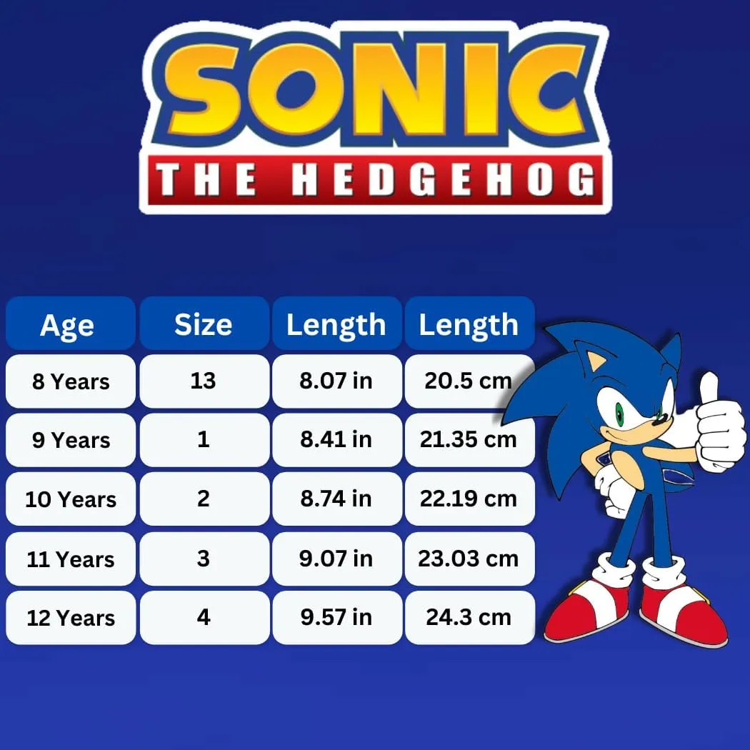 SEGA Sonic the Hedgehog Slide Boys Open Toe - Kids Sonic Sandals Beach Summer Slippers Water Shoes (size 13 little kid / 1-4 big kid)